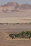 Namib Desert near Sossus Vlei